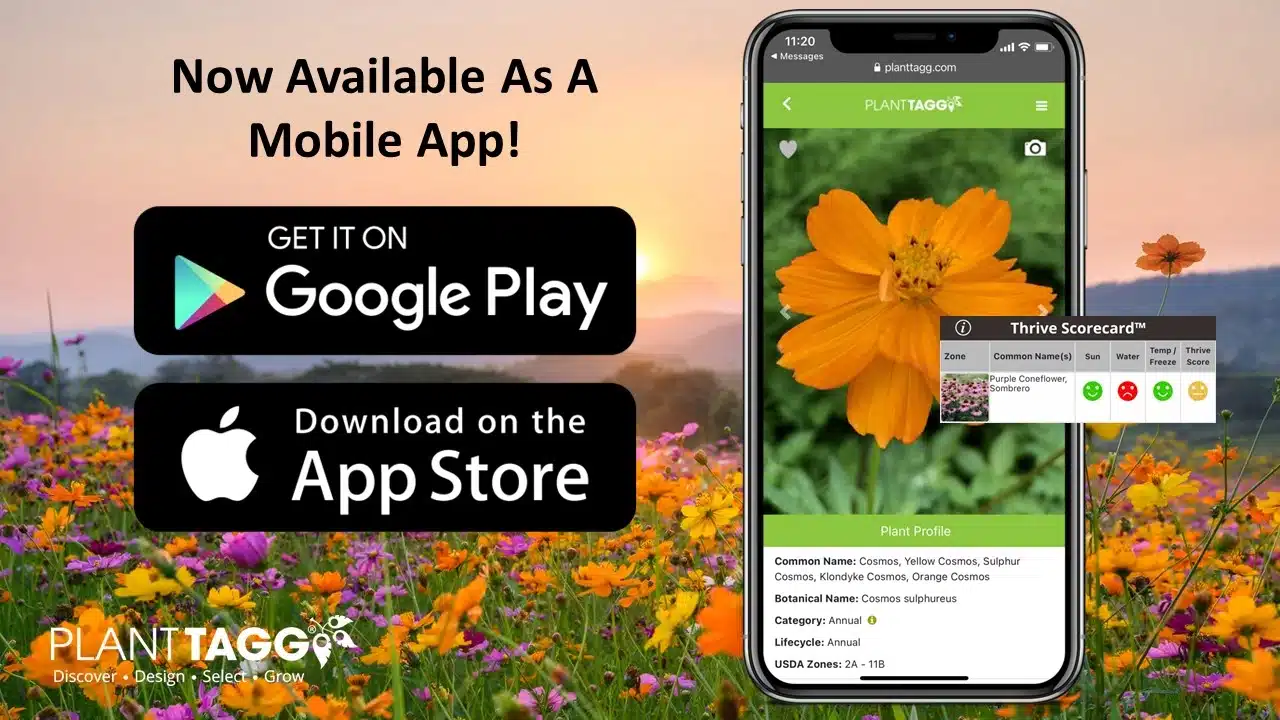 PlantTAGG Mobile App Now Available