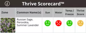 using Thrive Scorecard by PlantTAGG in a garden center