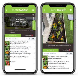 Screenshot of before and after adding pictures to the PlantTAGG gardening app